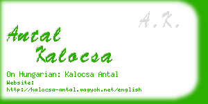 antal kalocsa business card